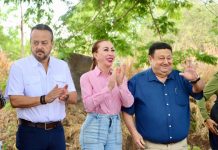 Finalizó Canadevi el desazolve en arroyos Las Calaveras y El Trejo, en Villa de Álvarez