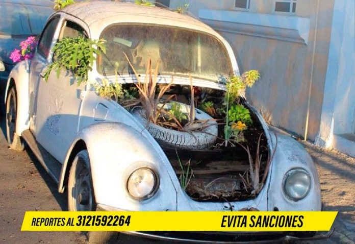 carrobandonado