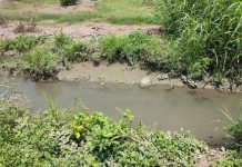 Supervisa Conagua obras y equipamiento para fortalecer el sistema de riego en Colima