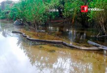 Derrames de hidrocarburos en Manzanillo: una problemática recurrente en las últimas décadas