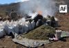 Aseguran más de 1.7 toneladas de marihuana en Jalisco; destacan operativos en ocho estados