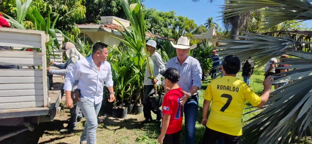 gobierno planta coco mango tamarindo 03
