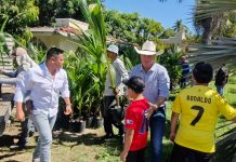 Gobierno de Indira Vizcaíno entrega miles de plantas de coco, mango y tamarindo; es opción de negocio para familias