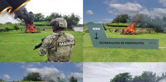 MARINA en coordinación con la FGR incinera más de tres toneladas de droga asegurada en Michoacán