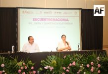 De cara a las elecciones de 2027 se deben fortalecer acciones afirmativas: INE