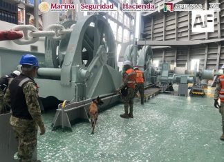Aseguran 137 kilos de presunta cocaína en el puerto de Lázaro Cárdenas; hay cinco detenidos