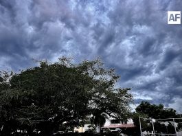 Protección Civil llama a extremar precauciones por lluvias durante el fin de semana; Colima, entre los estados con pronóstico de precipitaciones