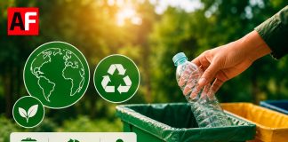 1 de cada 100 empresas en Colima tiene personal dedicado al cuidado ambiental: INEGI