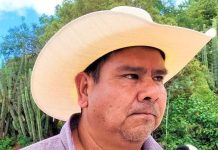 Asesinan a Joel Ángel Bravo, alcalde de San Miguel Amatitlán, Oaxaca; refuerzan operativo de seguridad