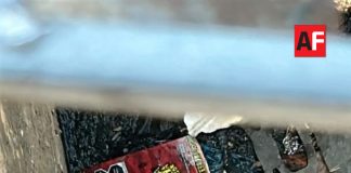 Rescatan a gatito atrapado en una alcantarilla en Santiago, Manzanillo