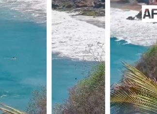 Rescatan a bañista en playa Santiago tras ser arrastrado por el oleaje