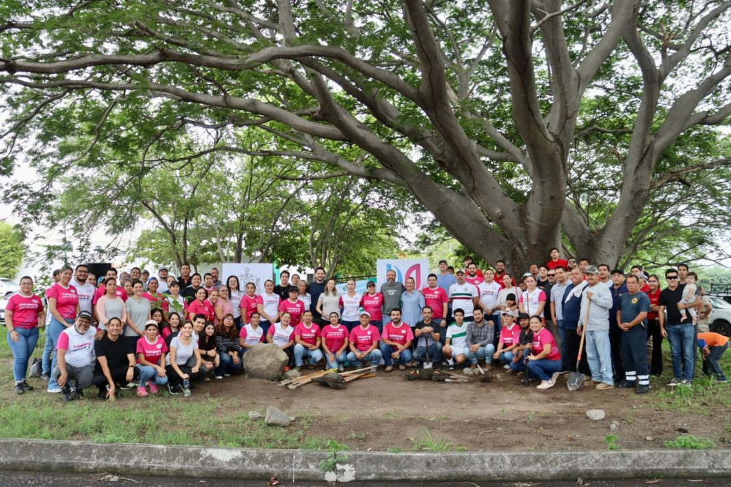 tey vidalia plantan arboles libramiento 02