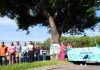 VdeA e IMADES inician mantenimiento de Parotas para sanearlas de plagas