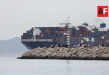 Puerto de Manzanillo recibió más de 720 buques mercantes en periodo enero a mayo de este año