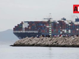 Puerto de Manzanillo recibió más de 720 buques mercantes de enero a mayo de este año