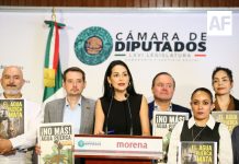Gobierno de Jalisco debe resolver el problema de agua sucia y no politizarlo: diputada Mery Pozos