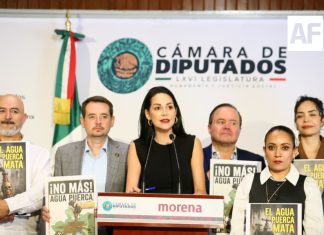Gobierno de Jalisco debe resolver el problema de agua sucia y no politizarlo: diputada Mery Pozos