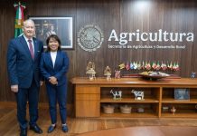 México y Estados Unidos refuerzan estrategia contra el gusano barrenador; buscan reabrir comercio de ganado
