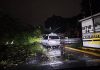 Fuerte lluvia causó inundaciones y derribó árboles en ZMG