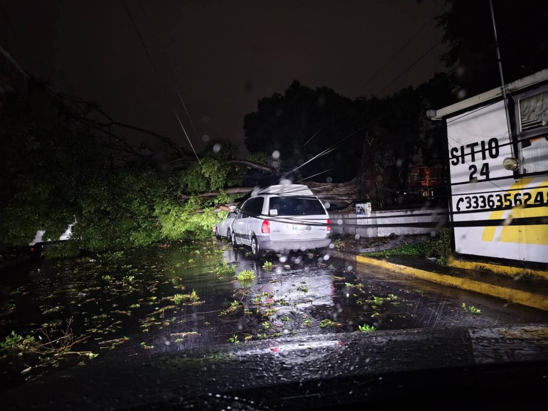 Fuerte lluvia causó inundaciones y derribó árboles en ZMG.