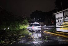 Fuerte lluvia causó inundaciones y derribó árboles en ZMG