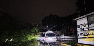 Fuerte lluvia causó inundaciones y derribó árboles en ZMG