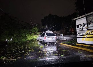 Fuerte lluvia causó inundaciones y derribó árboles en ZMG