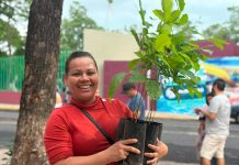 Gobierno del Estado de Colima entrega más de mil arbolitos en Jornadas de Adopción