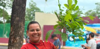 Gobierno del Estado de Colima entrega más de mil arbolitos en Jornadas de Adopción