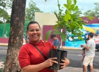 Gobierno del Estado de Colima entrega más de mil arbolitos en Jornadas de Adopción