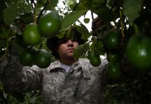 Estados Unidos reanuda actividades en Michoacán tras alerta de seguridad