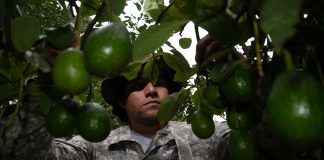 Estados Unidos reanuda actividades en Michoacán tras alerta de seguridad