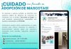 Policía Cibernética alerta por fraude en falsas adopciones de mascotas en redes sociales
