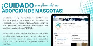 Policía Cibernética alerta por fraude en falsas adopciones de mascotas en redes sociales