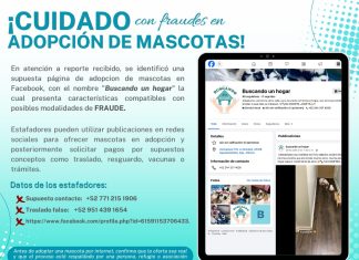 Policía Cibernética alerta por fraude en falsas adopciones de mascotas en redes sociales