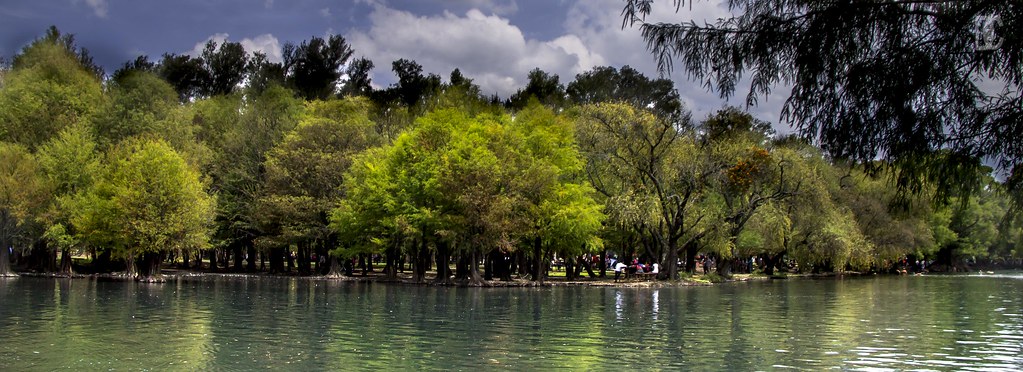 arboles 02