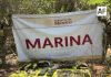 Marina asegura vehículo, armas y más de 780 cartuchos en dos operativos en Sinaloa