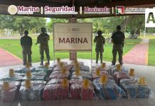 Aseguran más de una tonelada de presunta cocaína en el puerto de Lázaro Cárdenas