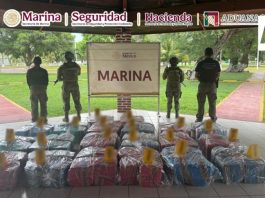 Aseguran más de una tonelada de presunta cocaína en el puerto de Lázaro Cárdenas