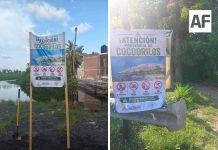 Instala Protección Civil de Armería señalética preventiva por presencia de cocodrilos en la Laguna de Cuyutlán