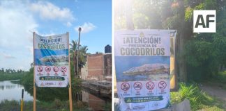 Instala Protección Civil de Armería señalética preventiva por presencia de cocodrilos en la Laguna de Cuyutlán