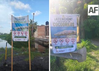 Instala Protección Civil de Armería señalética preventiva por presencia de cocodrilos en la Laguna de Cuyutlán