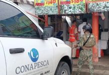 Aseguran de forma precautoria más de tres toneladas de producto pesquero en Puerto Vallarta