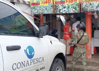 Aseguran de forma precautoria más de tres toneladas de producto pesquero en Puerto Vallarta