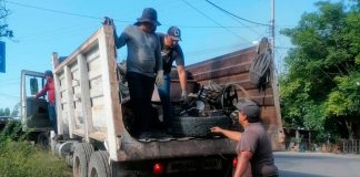 Colima, CDMX, Tlaxcala y Zacatecas, únicas entidades sin casos de dengue