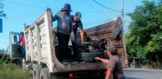 Colima, CDMX, Tlaxcala y Zacatecas, únicas entidades sin casos de dengue