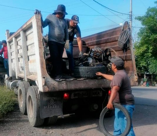 Colima, CDMX, Tlaxcala y Zacatecas, únicas entidades sin casos de dengue