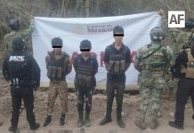 Marina asegura armamento y explosivos; libera a persona privada de la libertad en Sinaloa