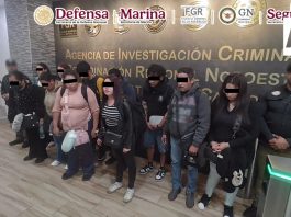 Detienen en Tijuana a 11 pasajeros de un vuelo procedente de Guadalajara con 165 kilos de cocaína