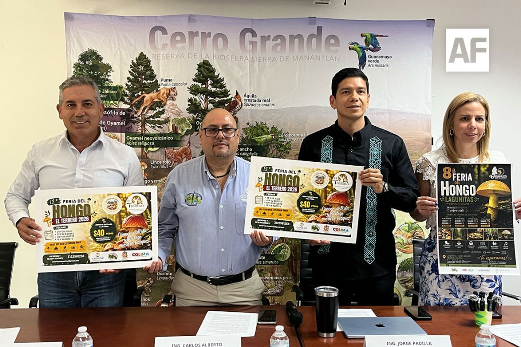 feria-del-hongo-anuncio-rp-03